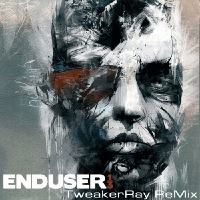 Enduser ReMix by TweakerRay wins 2st place